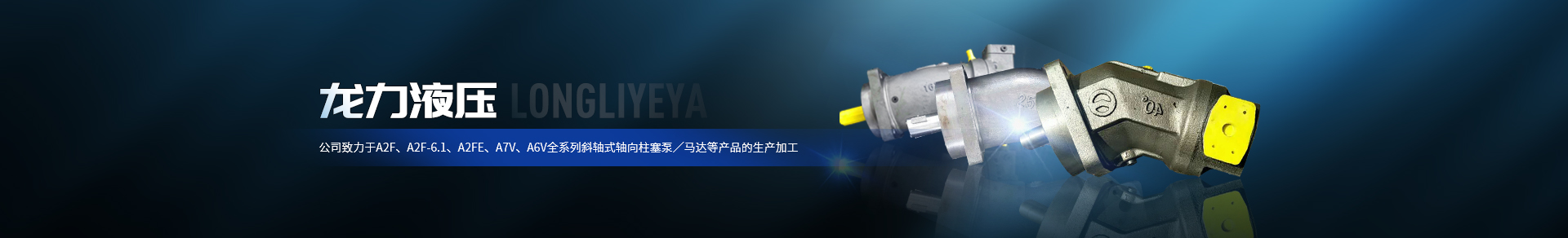 啟東龍力液壓泵有限公司